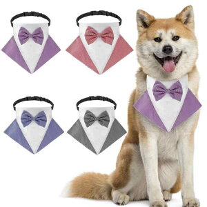  p  ^LV[h o_i X^C ybgpi  L   I[V[Y(x5)