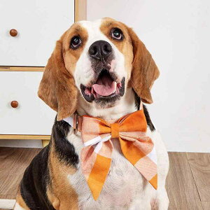 p ybgp iq Rbg lN^C O\ ^ ^ ^  킢 CMX IW(x2)