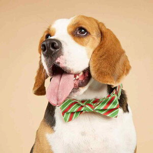  ybgp  NX}X XgCv {  L    킢  ^ ^ ^ I[V[Y(x2)