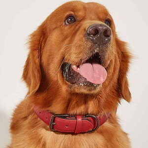  ^ ^p ybgpi v   Up U[ h \ R[q[F u[ ubN bh IW(x3)