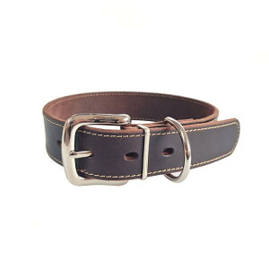  p v S[hJ[  Č R[M[ ybgpi ybgANZT[ L U[ ubN uE(x5)