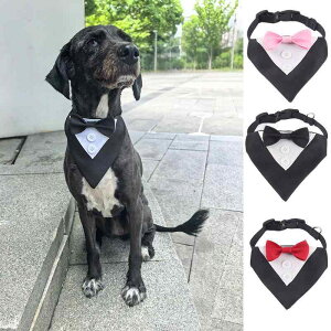 pi  o_i CMX lN^C |GXe ^ ^ ^ bh sN ubN O[ p[v