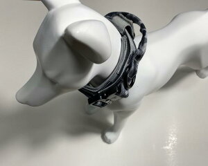   ybgpi ^ ^ ߉\ P ^ U   |GXe n Vv R  CgO[ AEghA I[V[Y(x2)