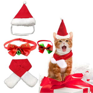 ybgp NX}X ANZT[ Zbg p  Lp NX}XXq }t[ XgCv t[X ėp S M L