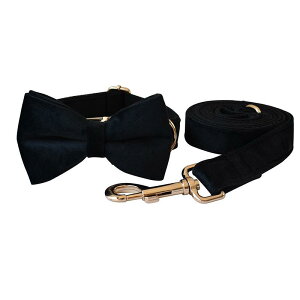  p ubN xxbg S[hobN d ɍב@ [YS[hobN ybgpi U ɂȂɂ \tg 4TCY ^ ^ ^  AWA k