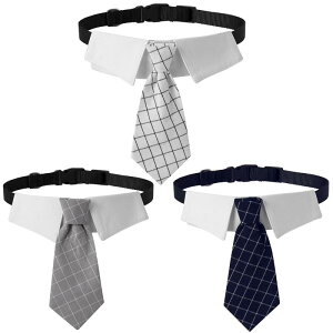  p iq am lN^Ct ybgp tH[} hbOEFA  a LOʐ^ |GXe CG[ u[ ubN zCg O[ F ^ ^ ^(x2)