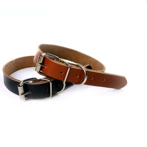  ^p Ђ Mo v ߉\ PUU[ n ybg JWA ubN uEn(x300)