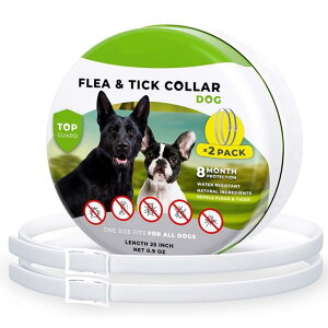 Lpm~_j쏜 ybgpO 悯 vX`bN  ??? ^ L(x2)