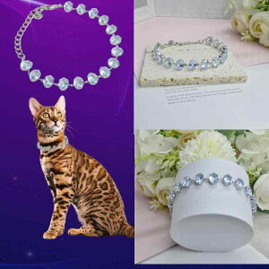  L  fB[X ybgp  ^ WRjA  NX^ S[h S M L 킢  CX^f ʔN(x2)