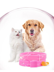  L p m~ _j 쏜   ybg a }_j ΍ \h lbNX ėp