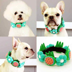  p Z ԕ ybg L Č S[fgo[ ^ ^ ^ ?? 킢 n JWA ʔN(x2)