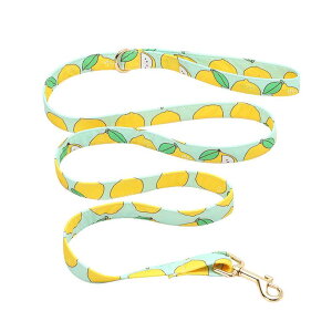 首輪 犬用 猫用 ペット用 リード 牽引ロープ 首輪 蝶ネクタイ ドット柄 布製 XS S M L XL 春夏 かわいい