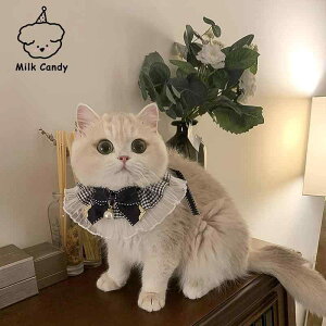 L p  [X X^C 悾ꂩ {t lbNX ybg ʐ^ Bep ANZT[  XS S M LWJ |GXe zF ubN sNn