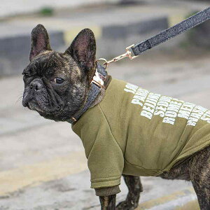  p [YS[h iC EFrO v ϋv XgCv ybg [h R XS S M L sN uE O[ x[W u[ O[ ^ ^ ^