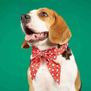  p NX}X lN^Ct ybgpi p |GXe ^ ^ lG