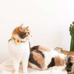  ybgp L fj t ANZT[ 킢 q ^  