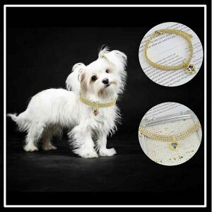 ybgplbNX fB[X Y  ^ n[g CXg[t  L  S[h ANZT[ SML nEB NX}X(x2)