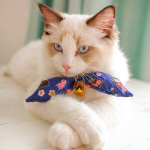  L a  ybg   ߉\ ^ ^ Lp     z 킢 