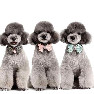 ybg  `[J[ lbNX  t { pXeJ[ ^ L |GXe \ sN O[ O[ lCr[ o[KfB fj hbg XgCv I