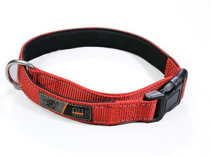  p ybgpi  ːDe[v iC ^ ^ ^ Eɂ bh u[ IW(x2)