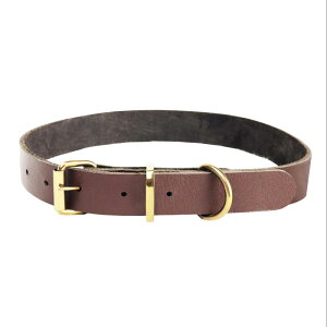  p U[ v v ybgpi  L ^ ^ [F ubN(x5)