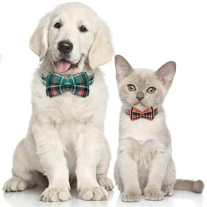  p iq {t O\ ybgp  UЂ vX`bNobN ^ ^ ^ CMX 킢 (x2)