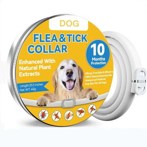  L p m~ _j 쏜 悯 ybg 悯 a quxp~z (x2)