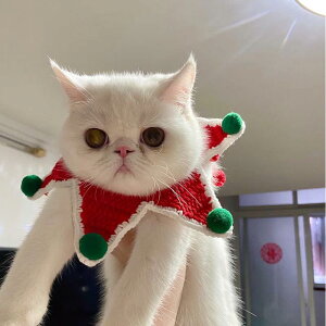  L  NX}X ybgp 悾ꂩ 􉽊w͗l jbg ^ Lp | 􉽕   ^ 6kgȓ ^ 12kgȓ nEB  a o^Cf[ t H lGp