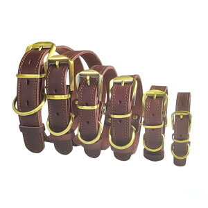  ybgp ^ v p  \ _uDJ ^ ^ ^ Õ [F ubN(x2)