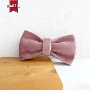  lN^C  ybgp  ANZT[   킢 ^ ^ ^ |GXe sN 