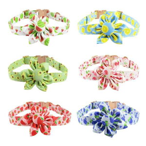   L p t[c [YS[h  hbO z   킢  ybg pi ^  ^  ^ (x2)