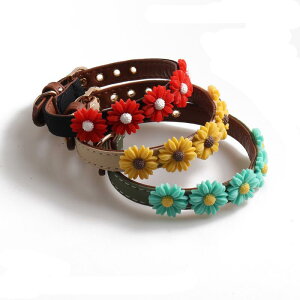   L fB[X `[J[ fCW[ ԕ Jt ^ PUU[ 킢  ubN u[ sNn bh zCg O[ x[W uE(x5)