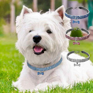  L  ybgpi CXg[ S M L ^ ^ sN zCg u[ 킢  Lk `[J[ lbNX(x3)