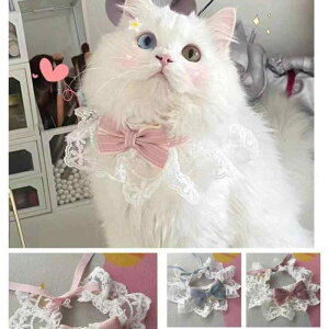  L ^ ^ ^ [X XJ[t ybgpANZT[