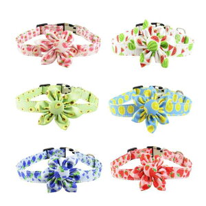 p fB[X ybgpi t[c  [h z XCJ A{Jh s[`  C`S uhE 킢  JWA U o(x2)