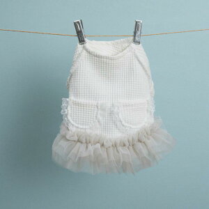 p XJ[g ^p [X pjG `[ ybg s[X hX   킢(x10)