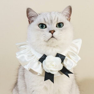 猫 首輪 猫用 ネックレス チョーカー 鈴付き 蝶ネクタイ ペット用品 犬兼用 アクセサリー 飾り 小型犬 山茶花 ポリエステル 白