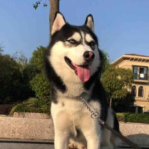 p p`F[ XeX ^ Pp P^ Rg[ h[x} S[fgo[