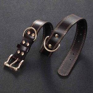  p U[ S[hobN R[q[F v   Č S[fgo[ ̎ ^ ig(x3)