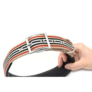    TGh ^ ^ ybgpi  Rbg xgobN p 25 Rbg 30 Rbg 38 Rbg(x2)