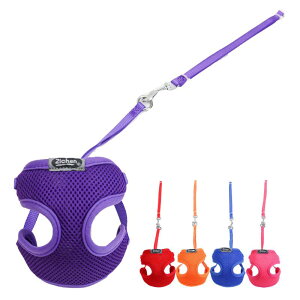   [h Zbg ybgp iC bV n ^ ^ ubN u[ bh p[v IW CG[ sN [Ybh ʔN