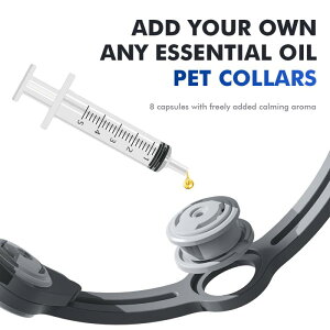 ybgp L  悯  悯 m~h~ TPRVR O[ sNn IW ʔN(x2)