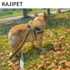  [v ybgp [h ^ ^ p efB qh~ Up op iC  F 