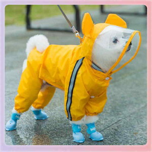 ybgpCR[g ^ ^ p Jbp J |` tJo[ h U o |GXe 킢 F efBxA