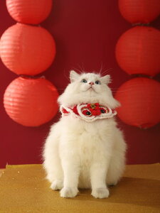 L  Lp p ybgp ANZT[ `[J[ 킢 VN NX}X  XS S M L ^ ^