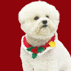  Lpi NX}X ybgp  L  p ю ҂ݍ `[J[   NX}X ~ X^CbV 킢 ^ ^