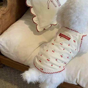 ybgpXJ[g ^p Lp t  ݂XJ[g s[X `[ t 킢 |GXe sNn