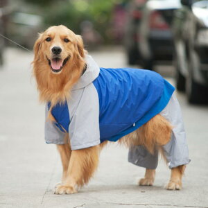 ybgpCR[g pCR[g h ^ tJo[ l ^ ^ ta