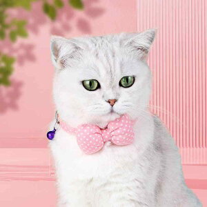 L  Lp  Lpi lN^C t ߉\ 킢 ybgpi ^ q cL Rbg hbg t H~ JWA