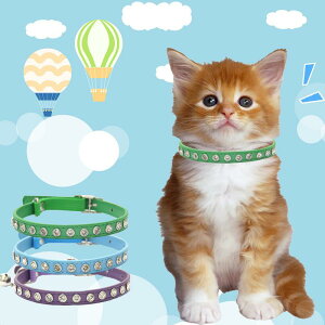  L fB[X ^ PUU[ CXg[ t h~ u[ bh O[ p[v 킢 ؕ